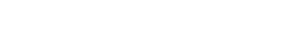Forcepoint